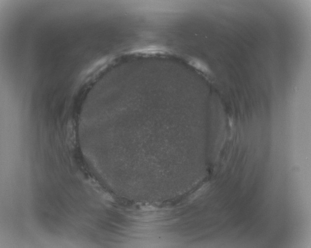 X0000081411398200701261812