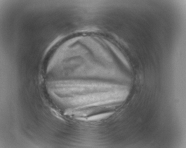 X0000081411400200701261812