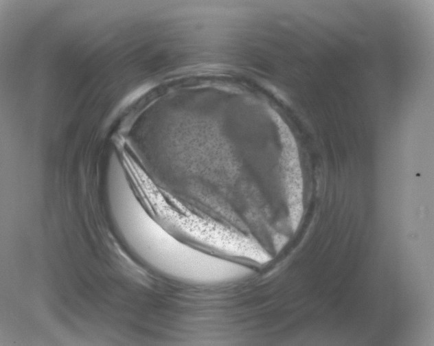 X0000081411402200701261812