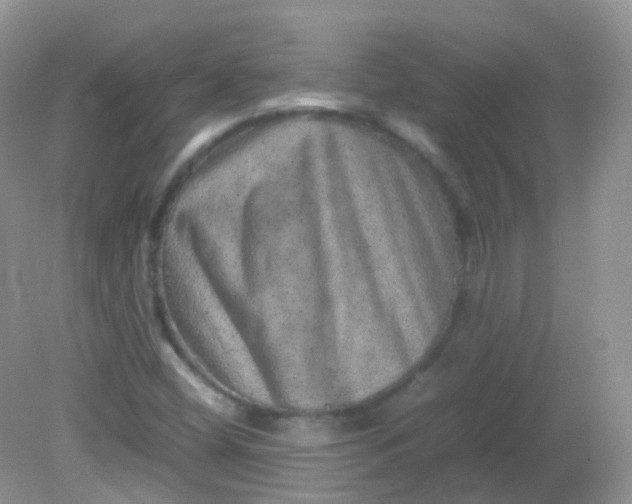 X0000081411404200701261812