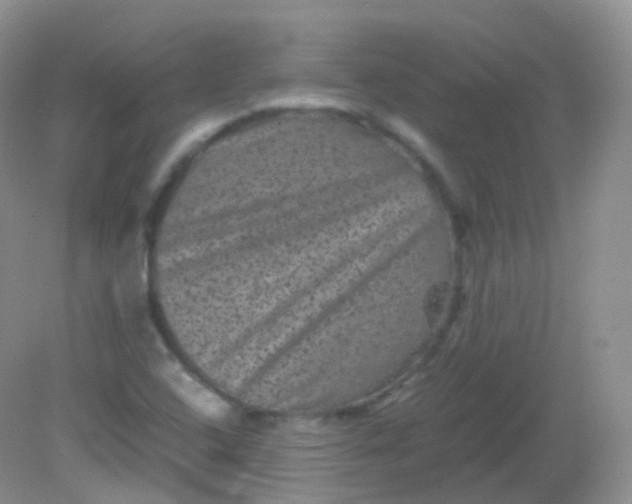 X0000081411408200701261812