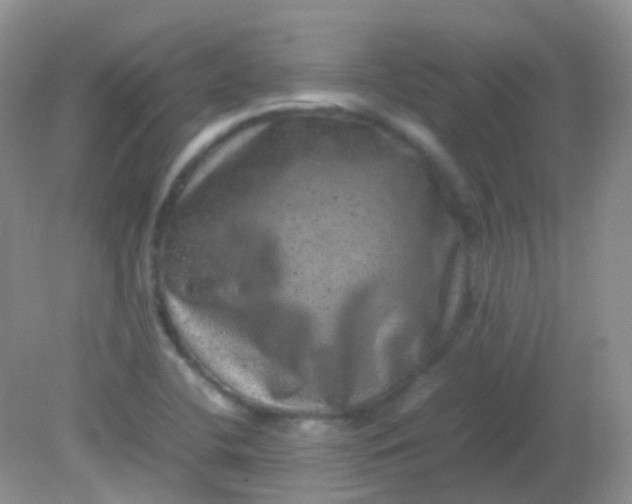 X0000081411412200701261812