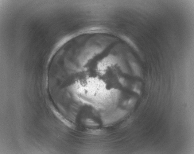X0000081411413200701261812