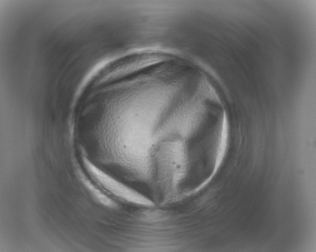 X0000081411416200701261812