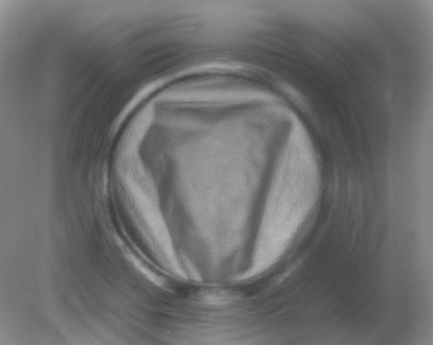 X0000081411420200701261812