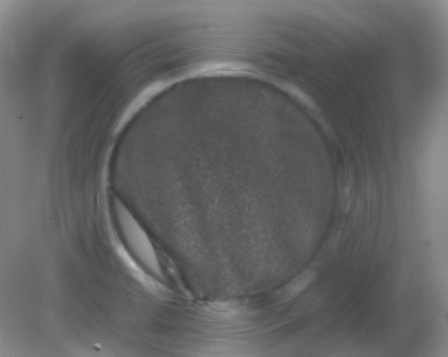 X0000081411422200701261812