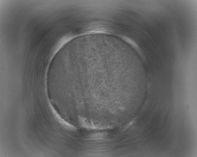 X0000081411423200701261812