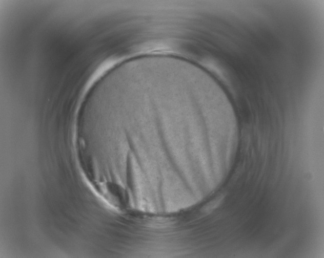 X0000081411424200701261812