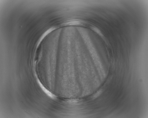 X0000081411426200701261812