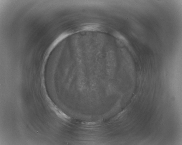 X0000081411427200701261812