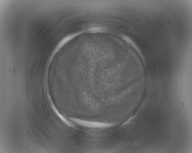 X0000081411429200701261812