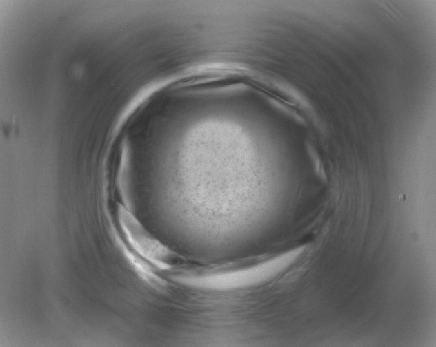 X0000081411430200701261812