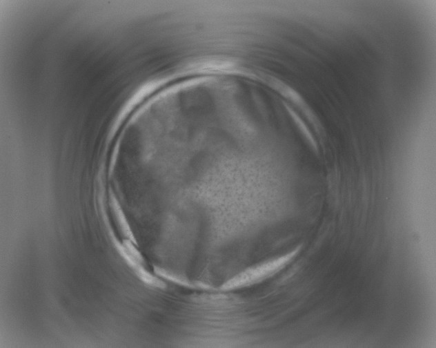 X0000081411432200701261812