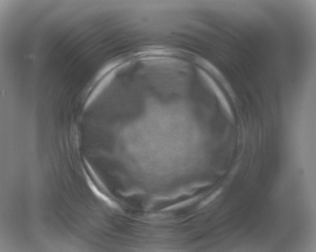 X0000081411433200701261812