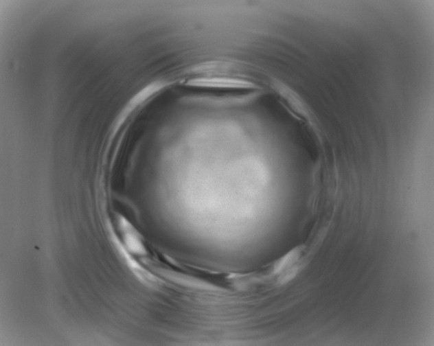 X0000081411434200701261812