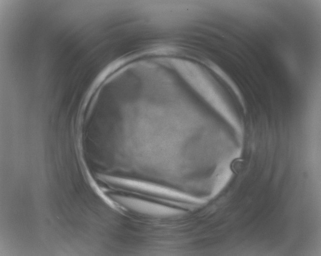 X0000081411437200701261812