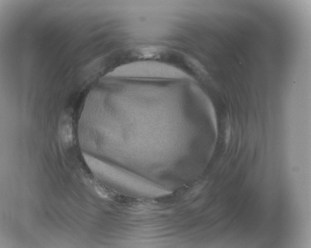X0000081411442200701261811