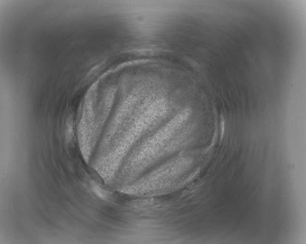 X0000081411444200701261811