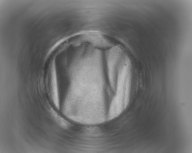 X0000081411452200701261811