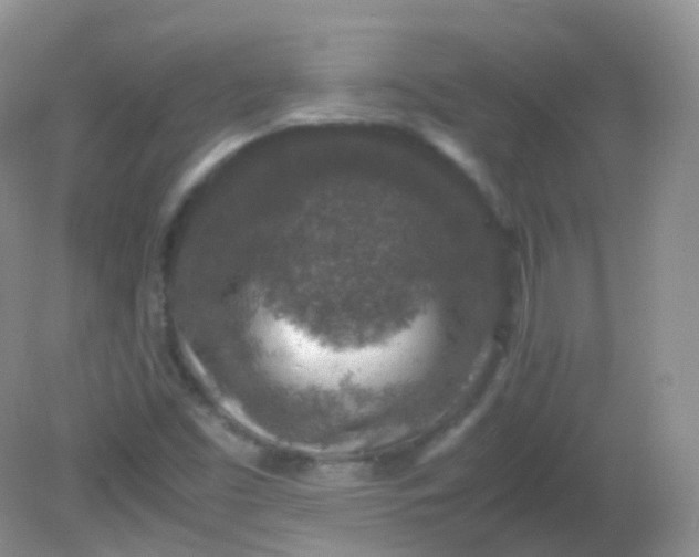 X0000081411453200701261811