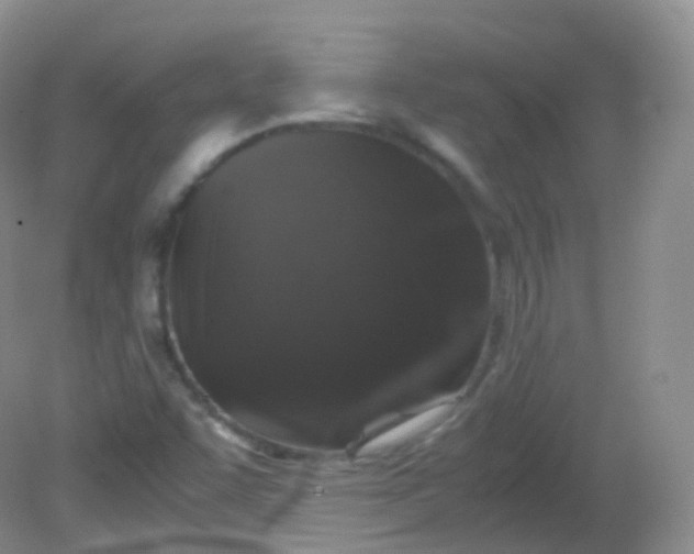 X0000081411455200701261811
