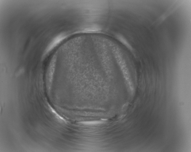 X0000081411456200701261811