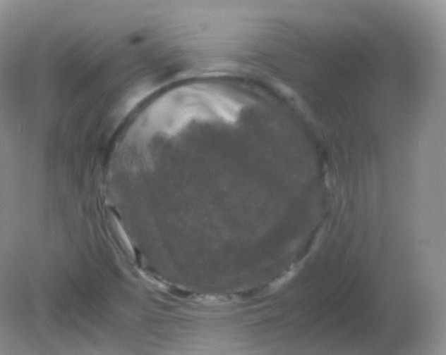 X0000081411457200701261811