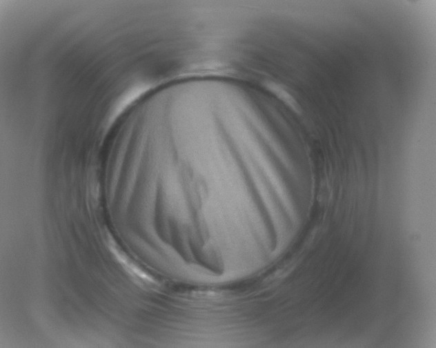 X0000081411458200701261811