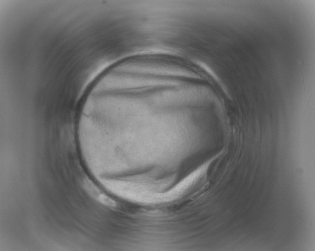 X0000081411460200701261811