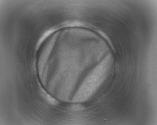 X0000081411464200701261811