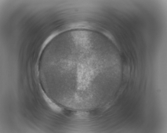 X0000081411466200701261811