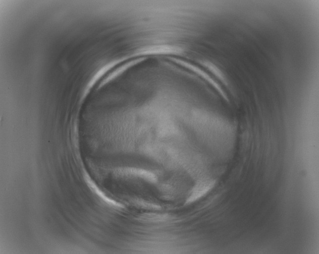 X0000081411468200701261811