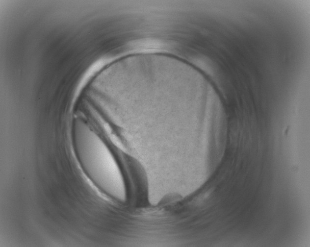 X0000081411472200701261811