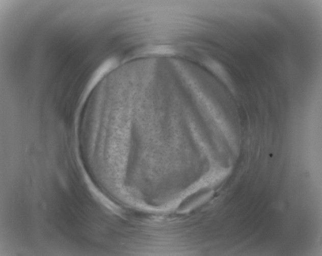 X0000081411475200701261811