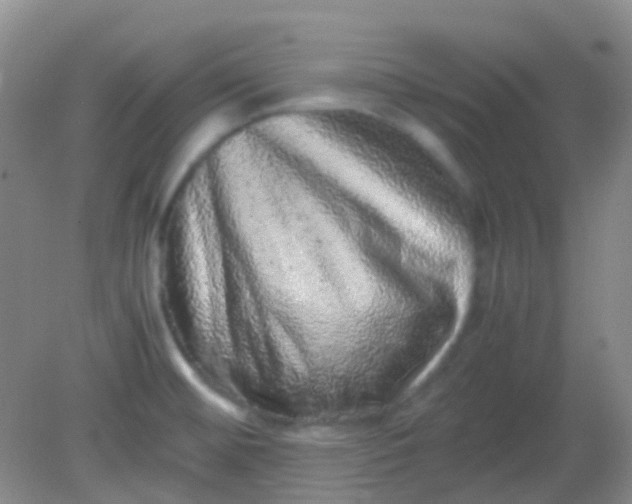 X0000081411476200701261811