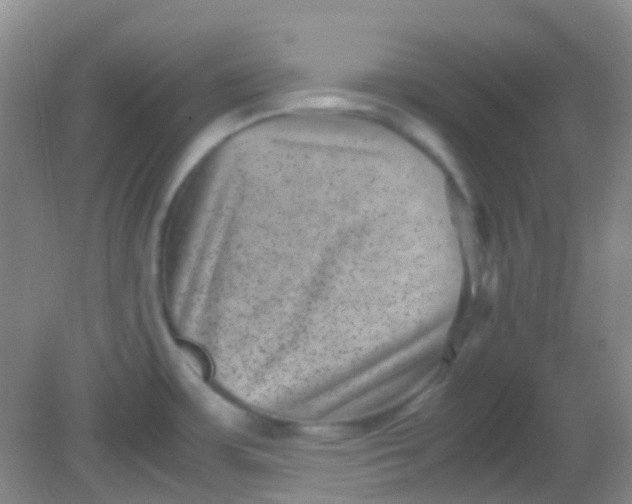 X0000081411483200701261811