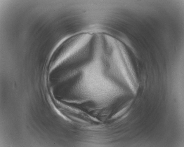 X0000081411484200701261811
