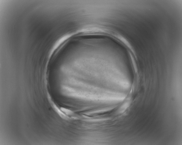 X0000081411485200701261811
