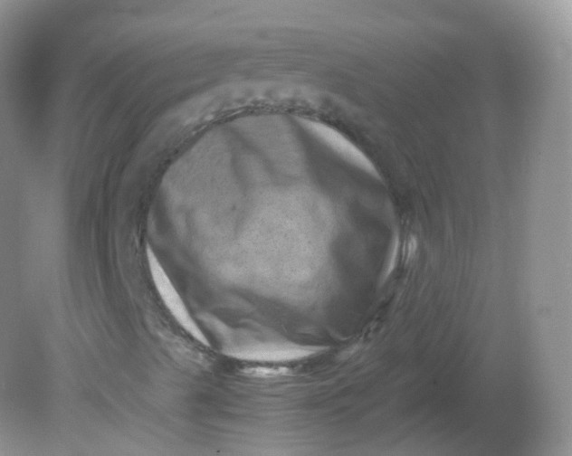 X0000081411489200701261810