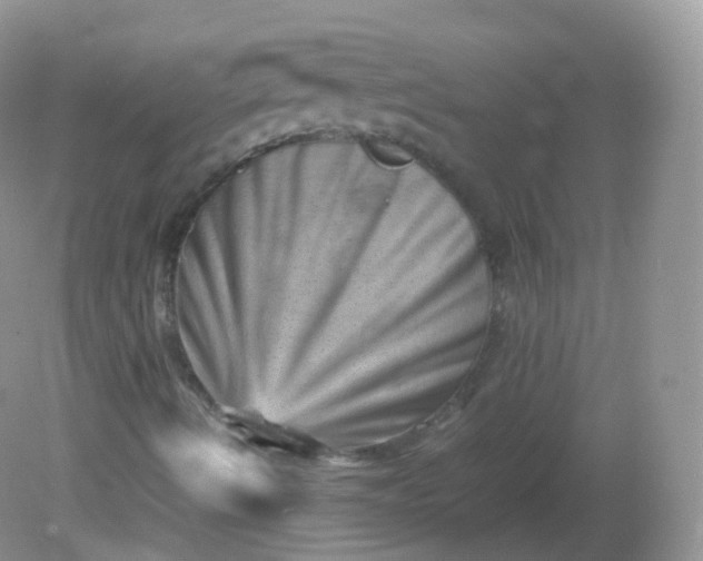 X0000081411490200701261810
