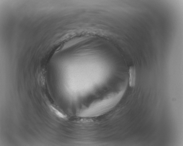 X0000081411491200701261810