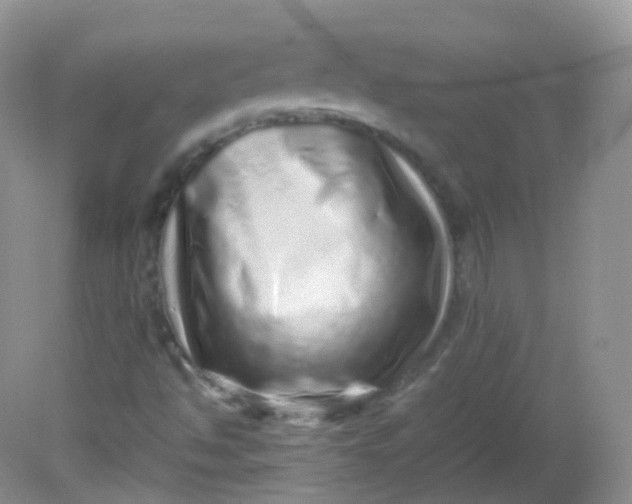 X0000081411494200701261810