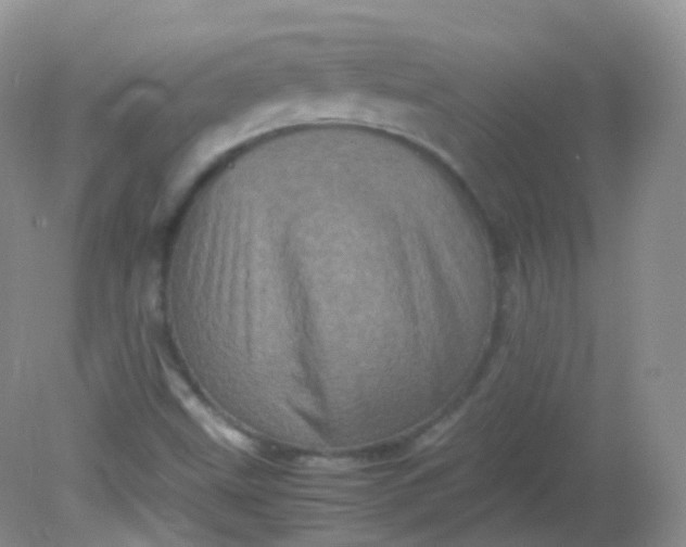 X0000081411499200701261810