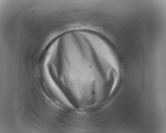 X0000081411501200701261810