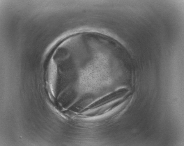 X0000081411502200701261810