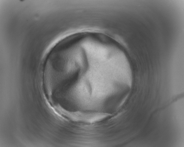 X0000081411504200701261810