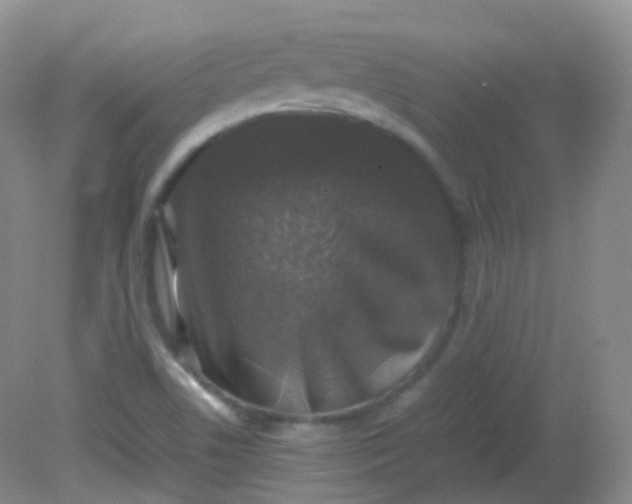 X0000081411506200701261810