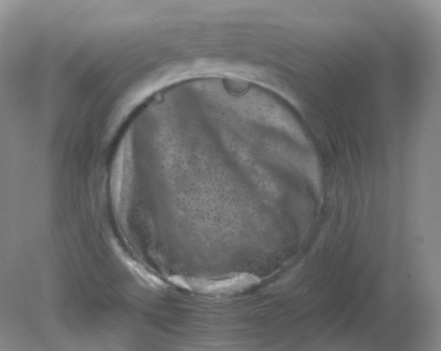 X0000081411507200701261810
