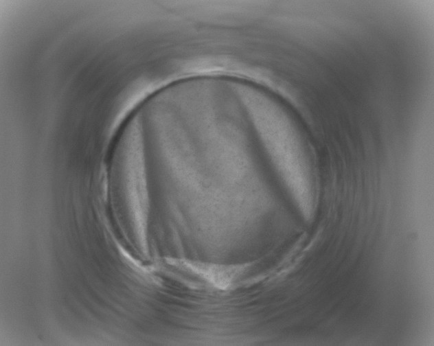 X0000081411509200701261810
