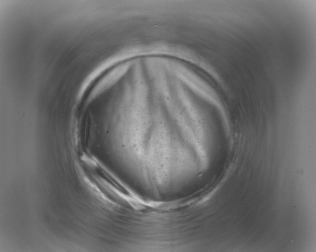 X0000081411510200701261810